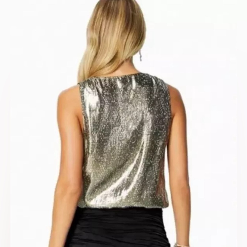 Ramy Brook | Silk Sleeveless Top V-Neck Silvery Snakeskin Print, Size L - Picture 2 of 12
